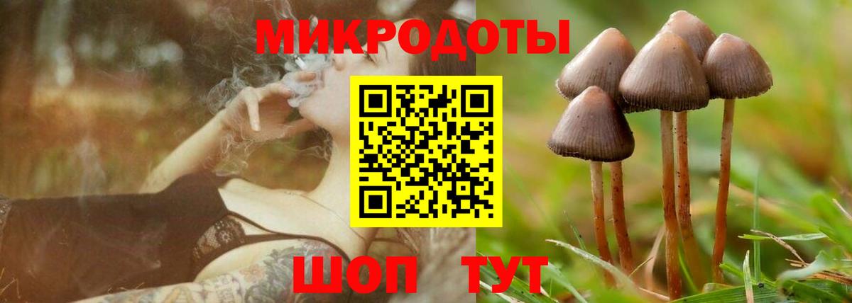 Галлюциногенные грибы мухоморы  Галлюциногенные грибы прущие грибы  Вход с VPN  Солнечногорск 